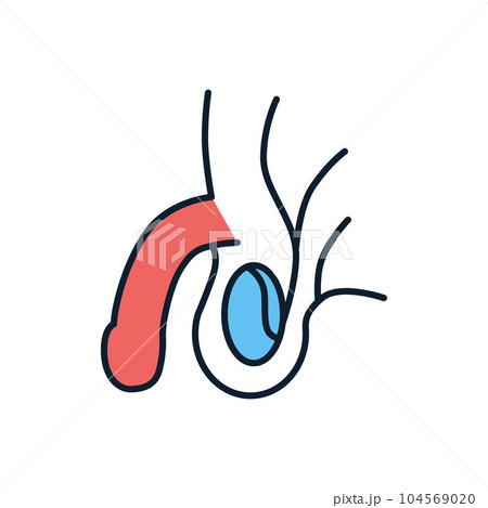 Male Reproductive System Vector Line Icons 104569020