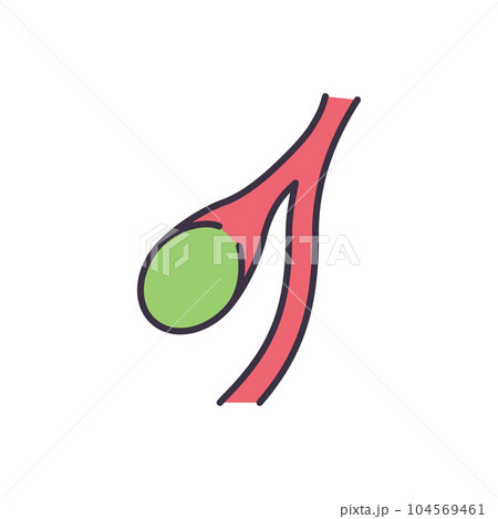 Gallbladder Vector Icons Gallbladder Vector Icons 104569461