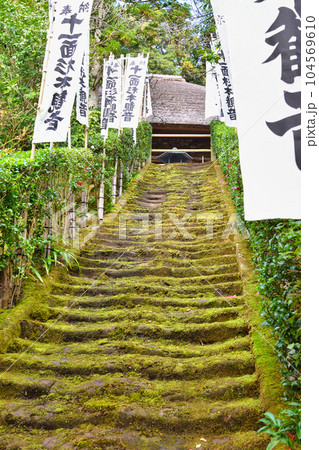 鎌倉 杉本寺 美しい苔の階段 鎌倉 杉本寺 美しい苔の階段 104569610