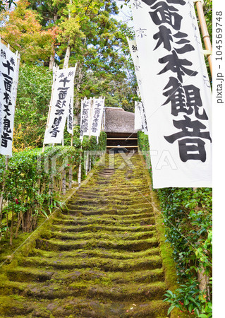 鎌倉　杉本寺　美しい苔の階段 104569748