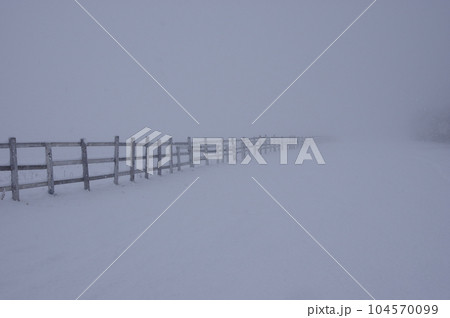 吹雪に霞む清泉寮前の牧柵 104570099