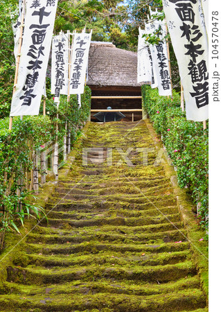 鎌倉 杉本寺 美しい苔の階段 鎌倉 杉本寺 美しい苔の階段 104570478