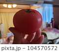 トマトを持つ手の写真素材 104570572