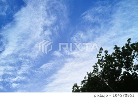 青空と雲イメージ 青空と雲イメージ 104570953