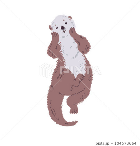 Cute sea otter swimming on back top view flat style, vector illustration Cute sea otter swimming on back top view flat style, vector illustration 104573664
