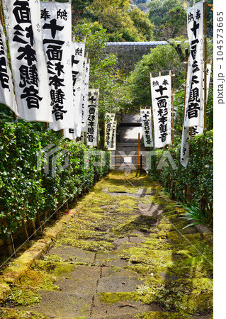 鎌倉　杉本寺　美しい苔の階段 104573665