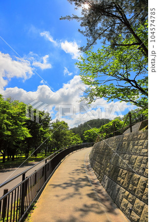 夏の飯森山公園 坂道 夏の飯森山公園 坂道 104574785