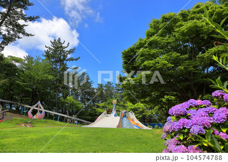 夏の飯森山公園 　紫陽花と遊戯施設 104574788
