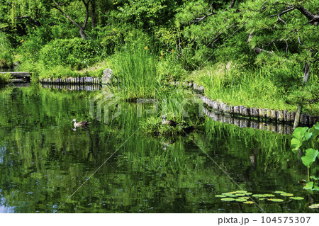 都立庭園　向島百花園　池　国指定名勝 104575307