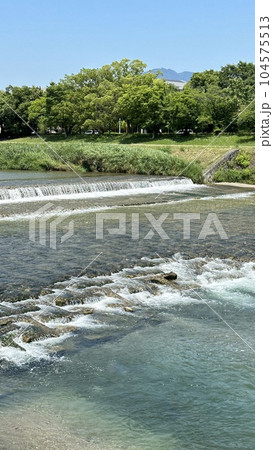京都の鴨川 104575513