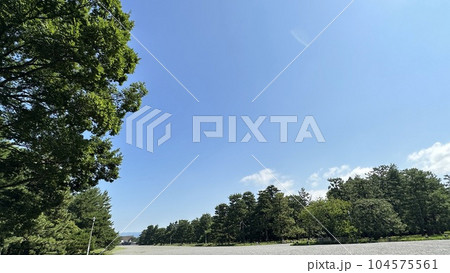 京都御苑の青空 104575561