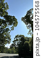京都御苑の青空 104575568