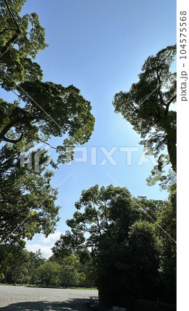 京都御苑の青空 104575568