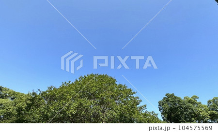 京都御苑の青空 104575569