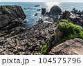 広大な東尋坊 104575796