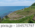 夏の白米千枚田 104575797