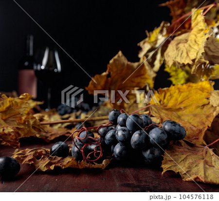 Dried vine leaves and blue grapes. 104576118