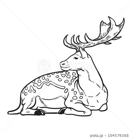 Premium Vector | A drawing of a deer with antlers.