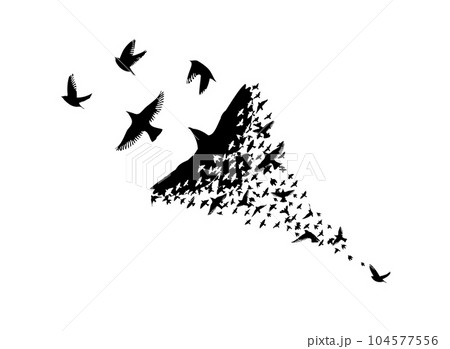 A flock of flying birds. Abstraction one bird and many small ones. Vector illustration 104577556