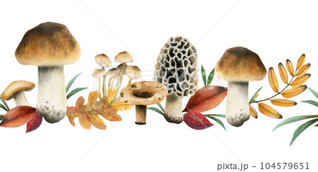 Autumn horizontal seamless border with brown edible boletus mushrooms and yellow red fall leaves watercolor illustration isolated on white background 104579651