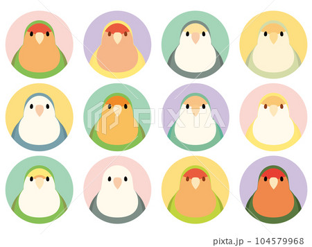 コザクラインコのアイコンセット 104579968