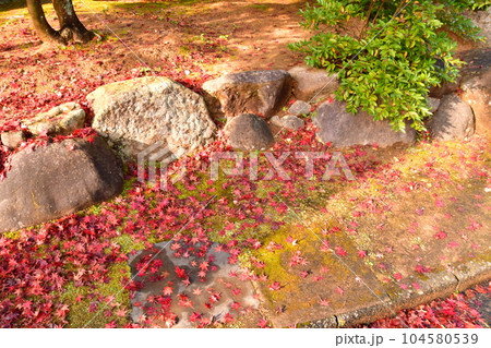總持寺祖院 境内 落ち葉 總持寺祖院 境内 落ち葉 104580539