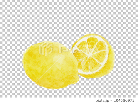 Illustration of lemon drawn by watercolor White back Transparent background 104580973
