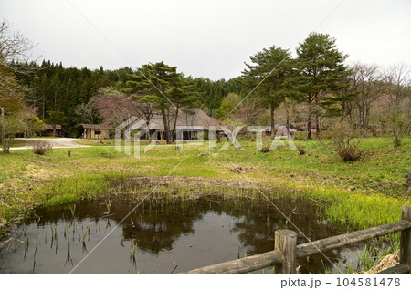 春の遠野ふるさと村 104581478