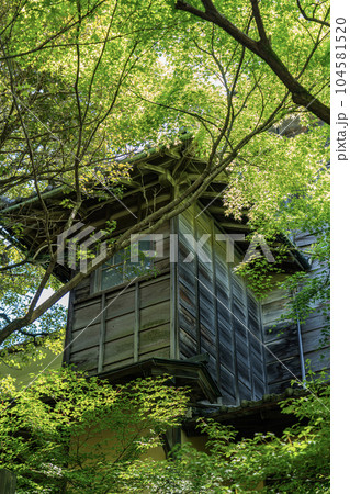 中山道赤坂宿　お茶屋屋敷跡の景色 104581520