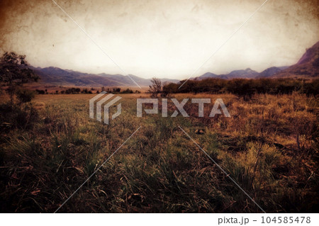 Analog photography. Landscape. Landscape with analog photography. Analog photography. Landscape. Landscape with analog photography. 104585478