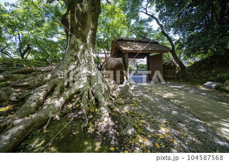 中山道赤坂宿の景色 お茶屋屋敷跡 中山道赤坂宿の景色 お茶屋屋敷跡 104587568