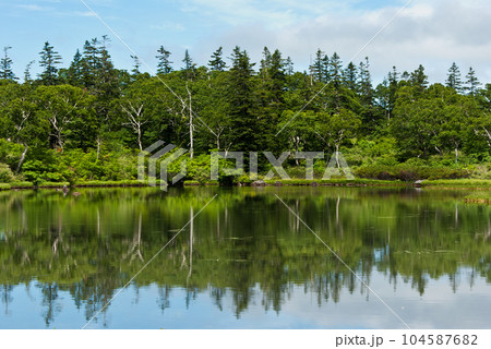 静かな風そよぐ初夏の神仙沼 静かな風そよぐ初夏の神仙沼 104587682