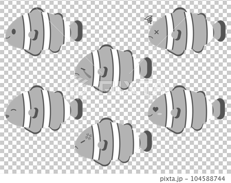 Loose and cute anemone fish 6 species set Grayscale 104588744