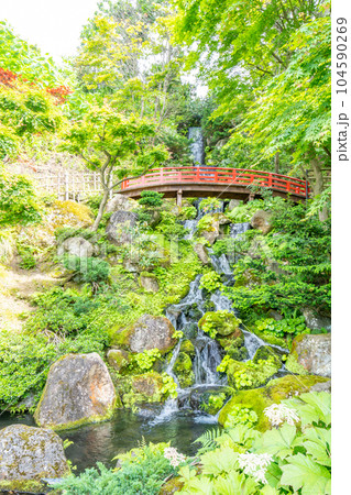 藤田記念庭園　反橋　滝 104590269