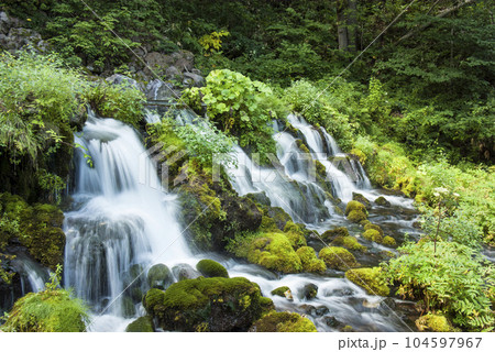 9月初秋の北海道京極町の羊蹄山の伏流水の湧き出し 104597967