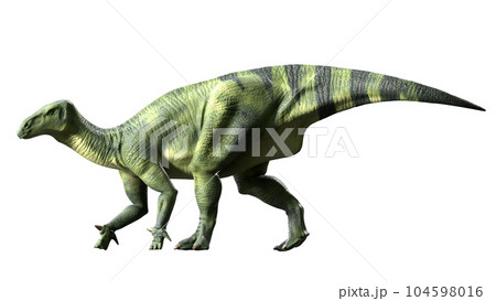 イグアノドン Iguanodon 104598016
