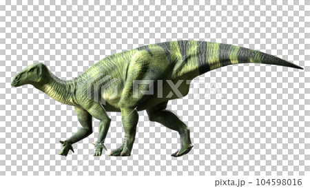 イグアノドン Iguanodon 104598016