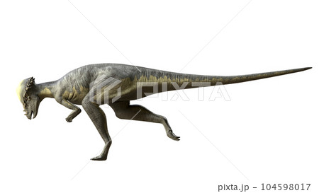 パキケファロサウルス pachycephalosaur 104598017