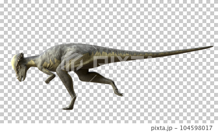 パキケファロサウルス pachycephalosaur 104598017