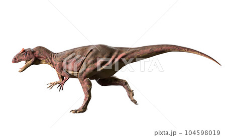 アロサウルス Allosaurus アロサウルス Allosaurus 104598019