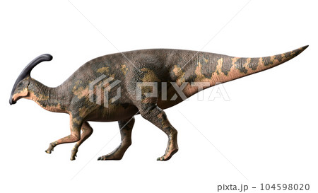パラサウロロフス　Parasaurolophus 104598020