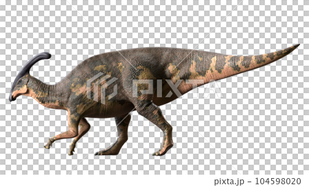 パラサウロロフス　Parasaurolophus 104598020