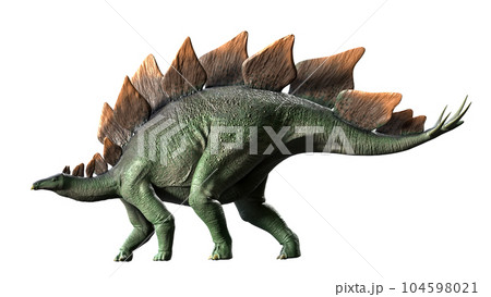 ステゴサウルス Stegosaurus 104598021