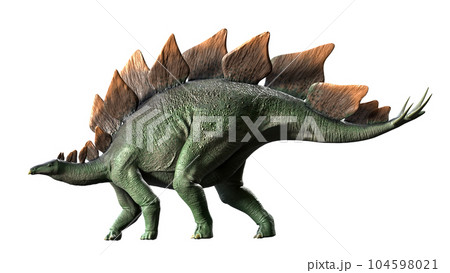 ステゴサウルス Stegosaurus ステゴサウルス Stegosaurus 104598021