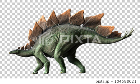 ステゴサウルス Stegosaurus 104598021