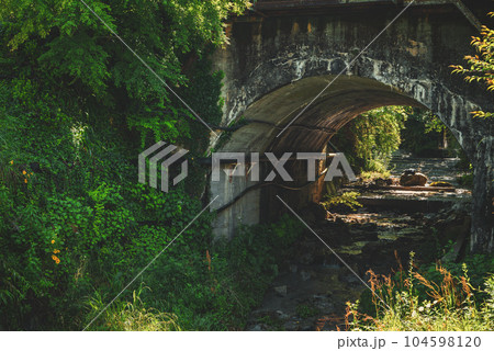 蛇抜沢【木曽郡南木曽町】 104598120