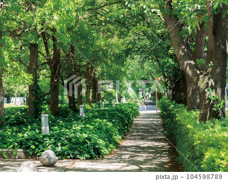 板橋区立高島平緑地 板橋区立高島平緑地 104598789