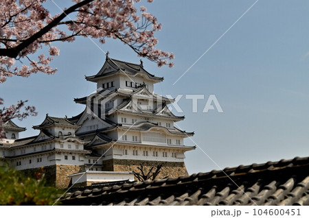 姫路城と桜 104600451