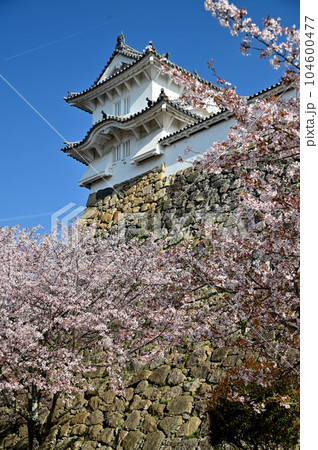 姫路城と桜 104600477