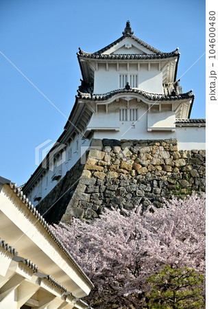姫路城と桜 姫路城と桜 104600480